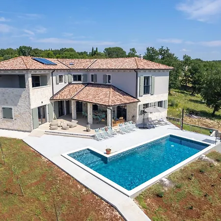 Andy By Istriaselect